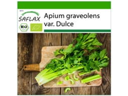 SAFLAX Orgânico Aipo Alto Utah Apium Graveolens Var. Dulce 500 Sementes com Substrato de Cultivo Livre de Germes