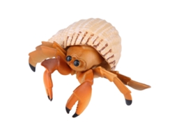 Walshlxq 1 Peça Modelo de Simulação de Caranguejo Ermitão Brinquedo Animal Realista Presente Educativo para Crianças