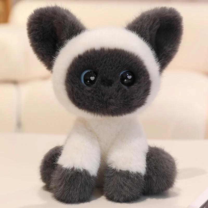 Super Fofo Gato Devon Siamês Sentado de Pelúcia, Decoração para Casa e Escritório MDUG (gato Siamês Cinza 24cm)