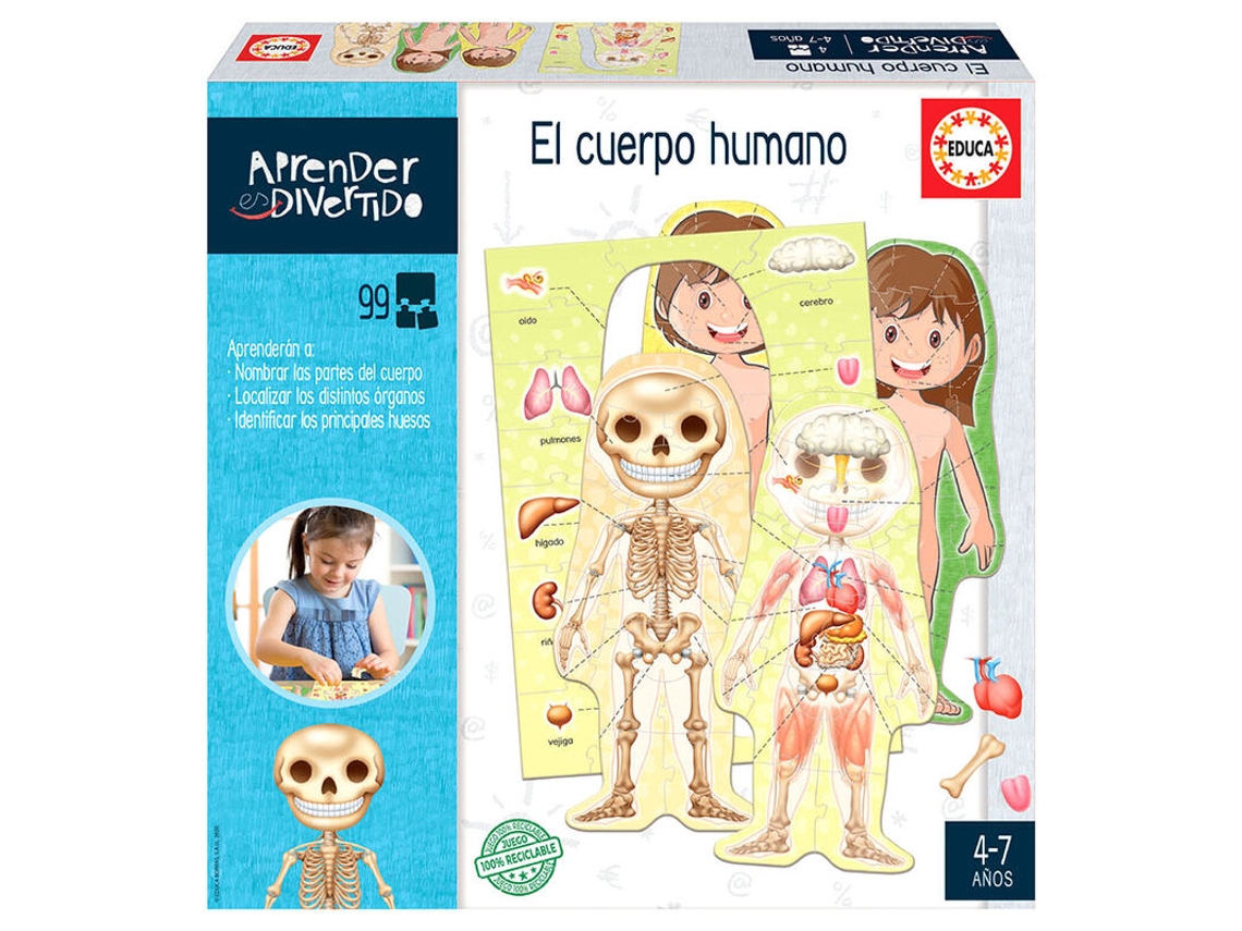 Espanhol O Corpo Humano