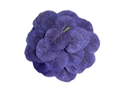 Ramos de Eucalipto Azul Safira LAXISCREED