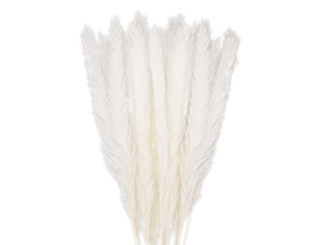 30 Unidades De Erva Das Pampas,58 Cm Flores Secas Naturais Para Vasos,branco Decoração Boho Quarto Sala,casamento Fotografia Mesa Decor Btforus