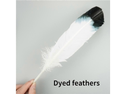 10 penas de águia naturais para artesanato, enfeites de cabeça, decoração festiva, artesanato DIY de carnaval, 25-30 cm (10-12 polegadas), 10 unidades