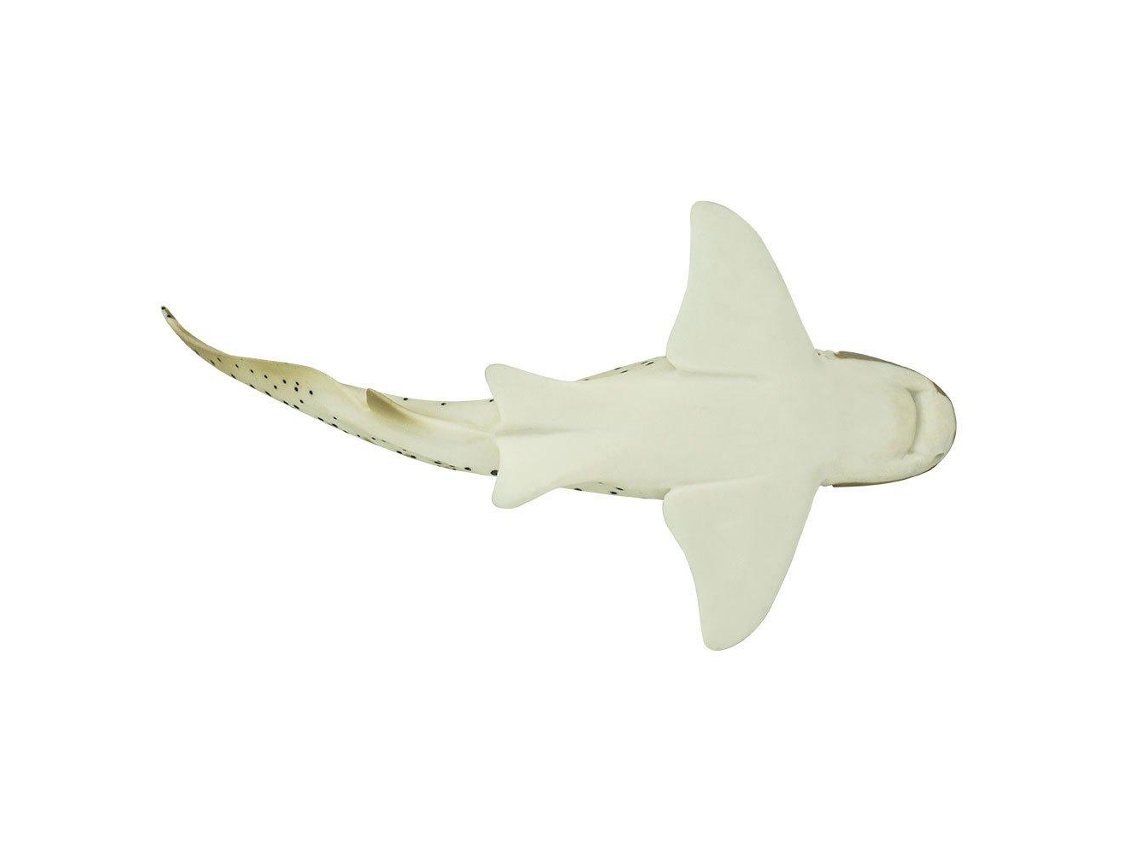 SAFARI Zebra Shark