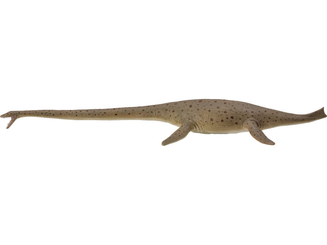 Figura COLLECTA Thalassomedon