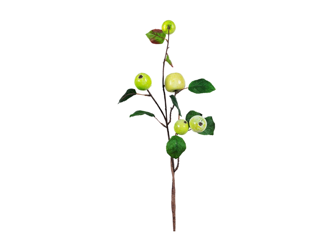 Laxiscreed Piso Verde Laxecreed Para Desenvolvimento, Modelo 210402yf28-2