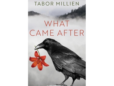 Livro What Came After de Tabor Millien (Inglês)