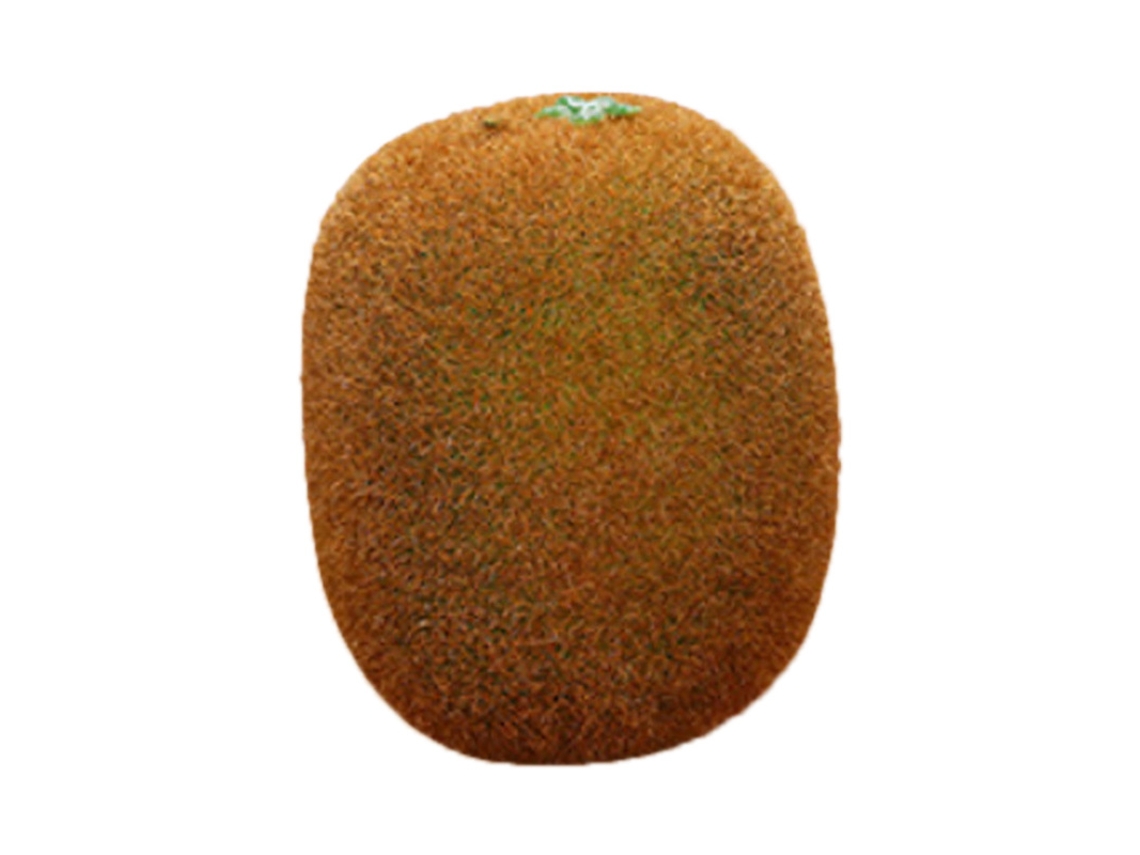 Modelo De Fruta Artificial Em Espuma, Falsa Para Decoração, Acessório Pedagógico Para Jardim De Infância, Kiwi