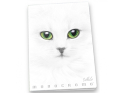 Caderno Monocromático PIGNA e Bloco A4 19 Folhas Branco