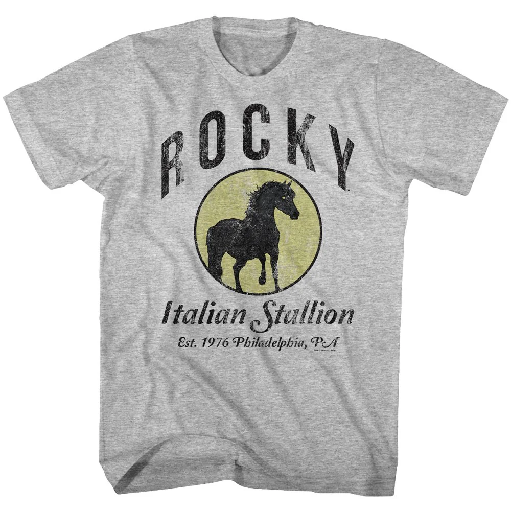 Unisex Adult T-shirt Rockinstone Rocky Movie Established 1967 Heather Gray Sizes