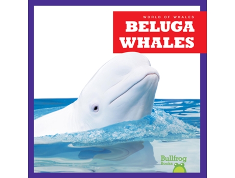 Livro Beluga Whales de Katie Chanez (Inglês - Capa Dura)