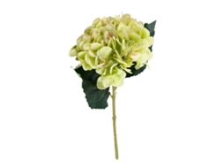 Hydrangea Artificial com Dois Ramos e Folhas LAXISCREED