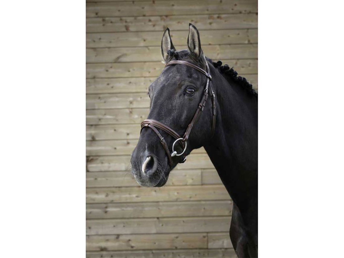 Cabeçada Fin Cinzento Ponynorton Equestrian