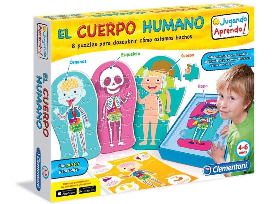 Aprenda Sobre O Corpo Humano