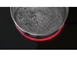 Placa de Vitrocerâmica ZANUSSI ZES3921IBA (Elétrica - 29 cm - Inox)