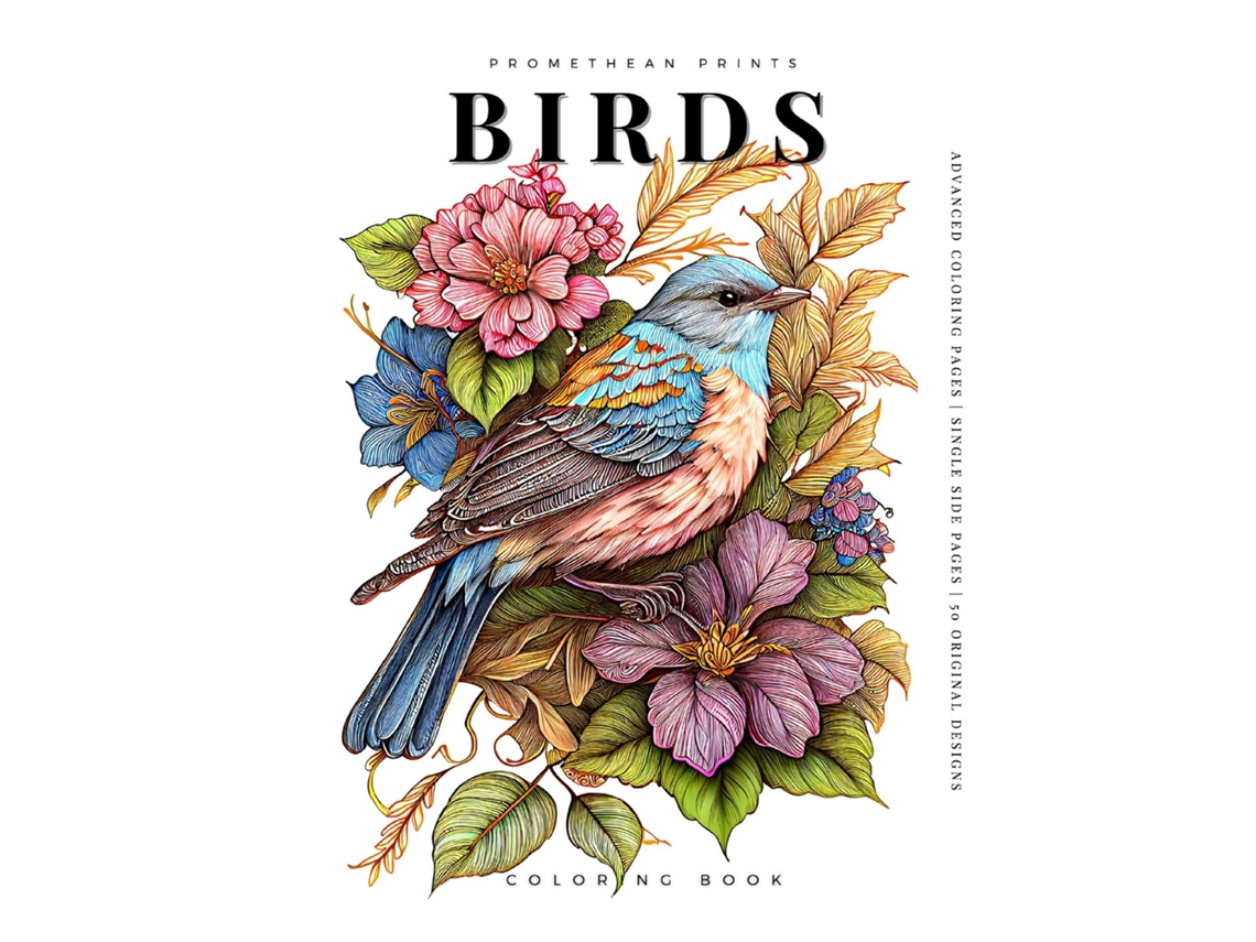 Livro Birds De Anton Fox (inglês)