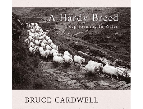 Livro Hardy Breed de Bruce Cardwell (Inglês)