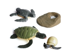 Primerox brinquedo de Modelo Animal Simulado Ciclo de Vida Pvc para Crianças com Formiga, Tartaruga, Galo, Mosquito e Rã