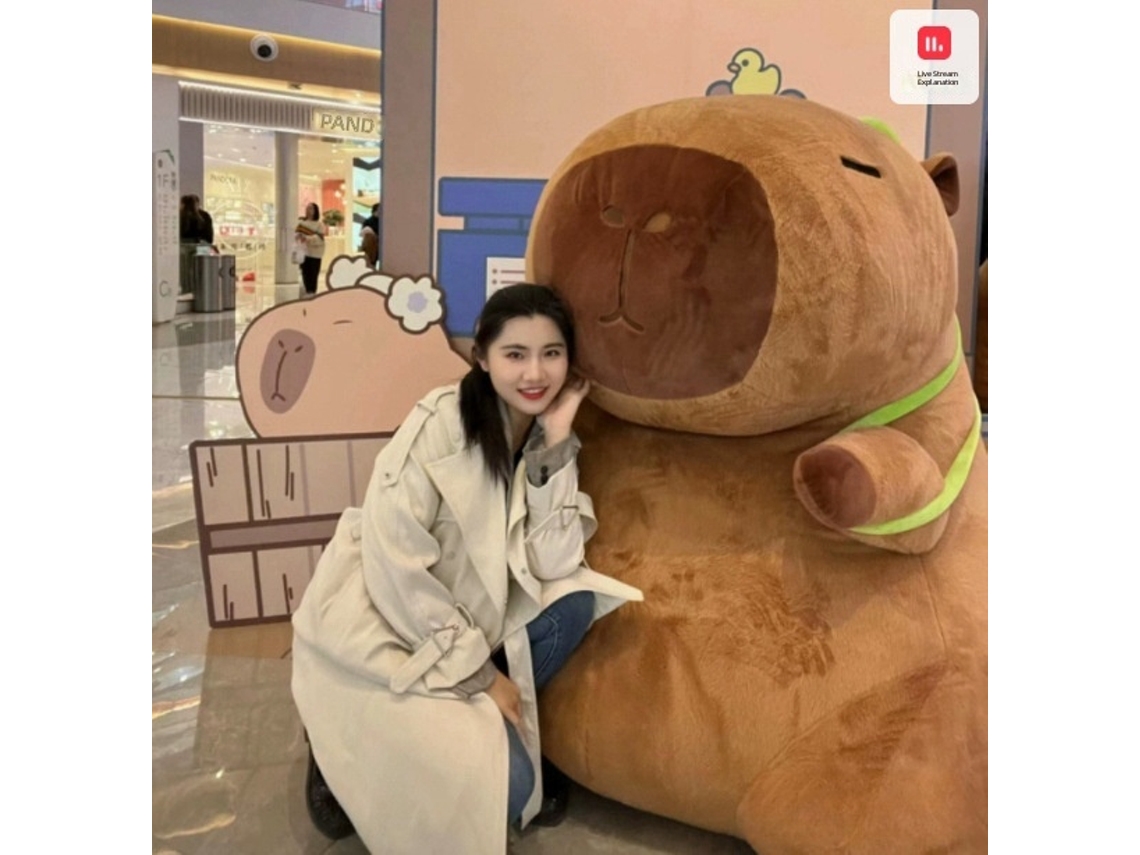 Pelúcia Capivara Gordinha com Pelo de Coelho Modelo Mochila Tartaruga, Fofa e Adorável, Disponível em Tamanhos Pequeno e Grande CHABERLU