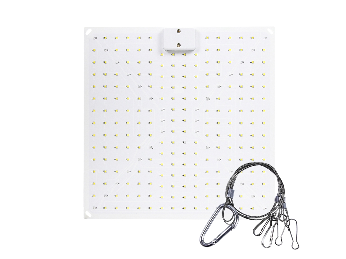 Luz de crescimento LED para plantas indoor suculentas full spectrum 50W placa quântica | S/MARCA