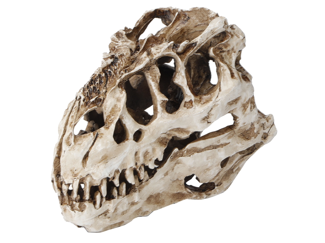 Escultura de Crânio de Dinossauro em Resina para Decoração e Coleções Halloween LAXISCREED