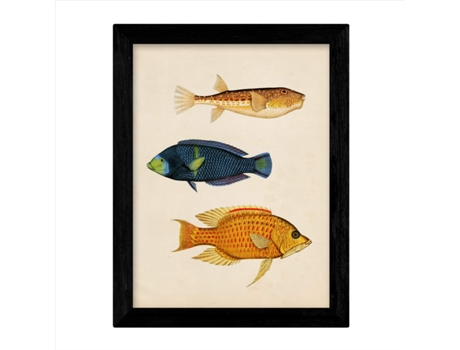 Conjunto De 4 Nevoeiros De Efeito Vintage De Peixes Coloridos Baleares Composição De 10 Peixes Diferentes Fundo Antigo De Papel Vintage Sem Quadro