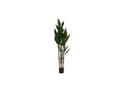 Planta em Poliéster Pp com Estampa de Ave do paraíso Verde, 90x90x200cm ALEXANDRA HOUSE LIVING