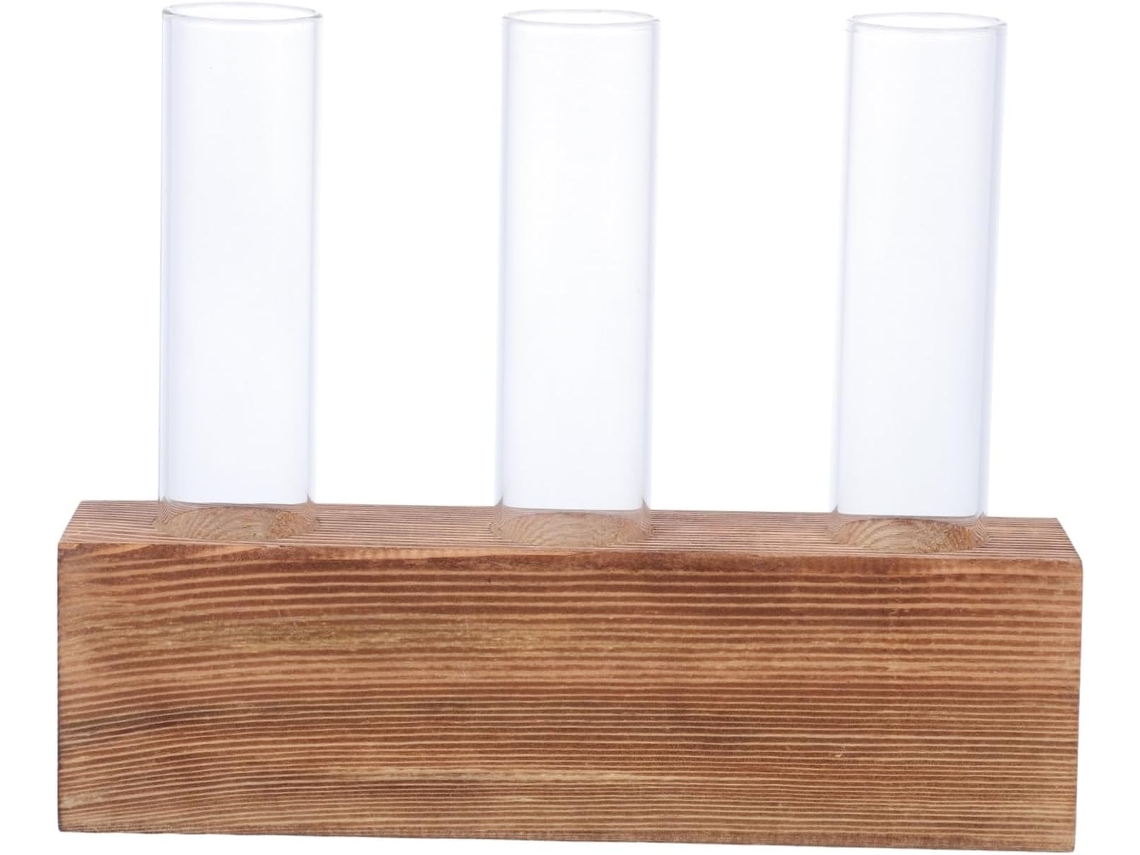 Vaso Hidropônico Transparente Com Suporte De Madeira E Vidro E Planta.
