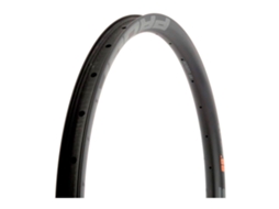 Progress Eb Plus Carbon 2021