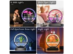 Decoração de Água com Luz Led Bluetooth Branco LAXISCREED
