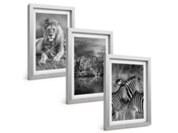 Quadros Decorativos Para Paredeanimais Selvagens, Savana Moldura Prateada Quadros Para O Escritório Espelharte (3 Peças 20x30 Cm)