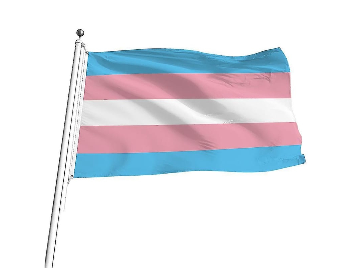 Bandeira Transgênero 90x150cm, Bandeira De Gênero Duplo, Bandeira Pangênero Com 2 Olhos De Latão Para Parede Quarto Exterior Bandera Pangênero