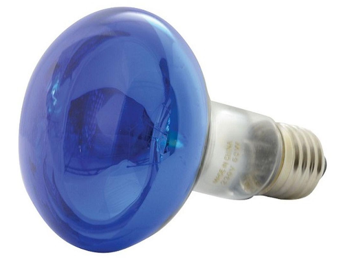 G-160003 :Lampada E27 60W 230Vac R80 Azul