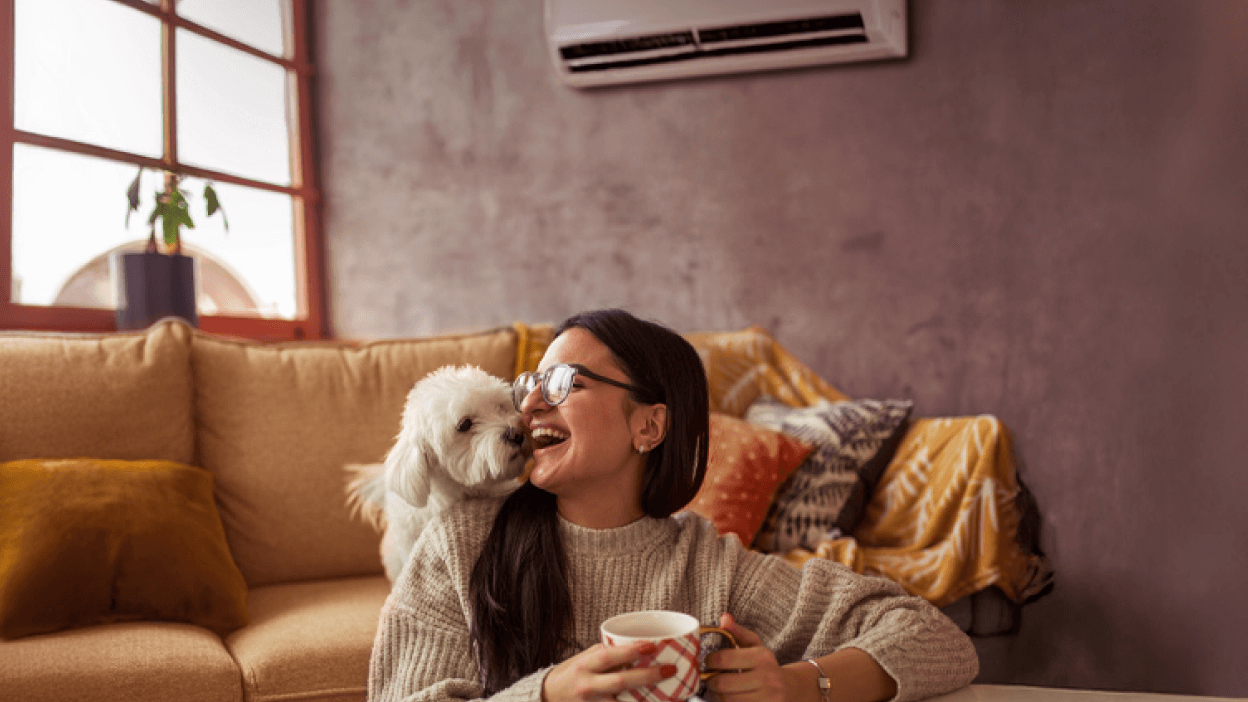 Aquece no inverno, refresca no verão e poupa o ano inteiro