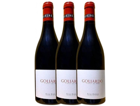 Vinho Tinto FORJAS DEL SALNÉS Forjas Del Salnés Goliardo Tinto Rías Baixas (0.75 L - 3 unidades)