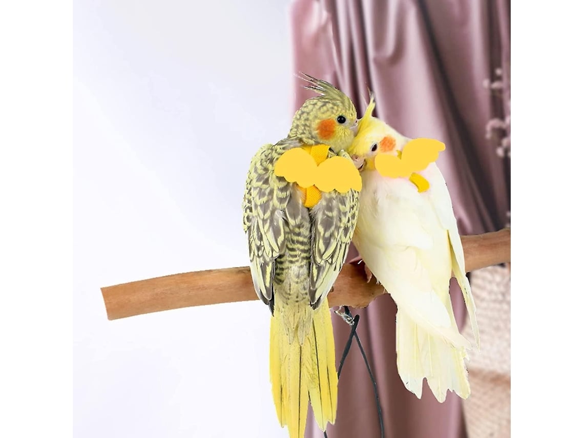 Arnês Ajustável Para Aves Com Trela De 80 Polegadas, Kit De Voo Ao Ar Livre E Corda De Treino Para Pássaros, Periquitos E Caturras