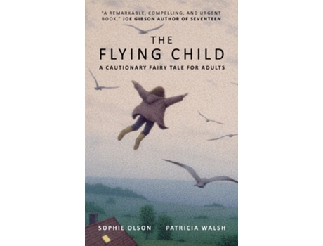 Livro The Flying Child - A Cautionary Fairytale For Adults De Patricia Walsh (inglês)
