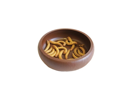 Comedouro Mealworm Dish