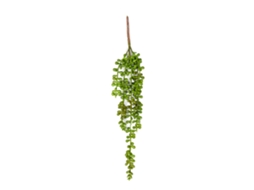 Flor de Papoula com Quatro Cabeças LAXISCREED