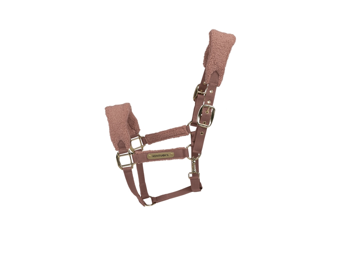 Cabresto para Cavalos Polares KENTUCKY Teddy