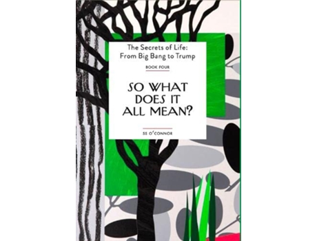 Livro So What Does It All Mean? de Ss O'Connor (Inglês)