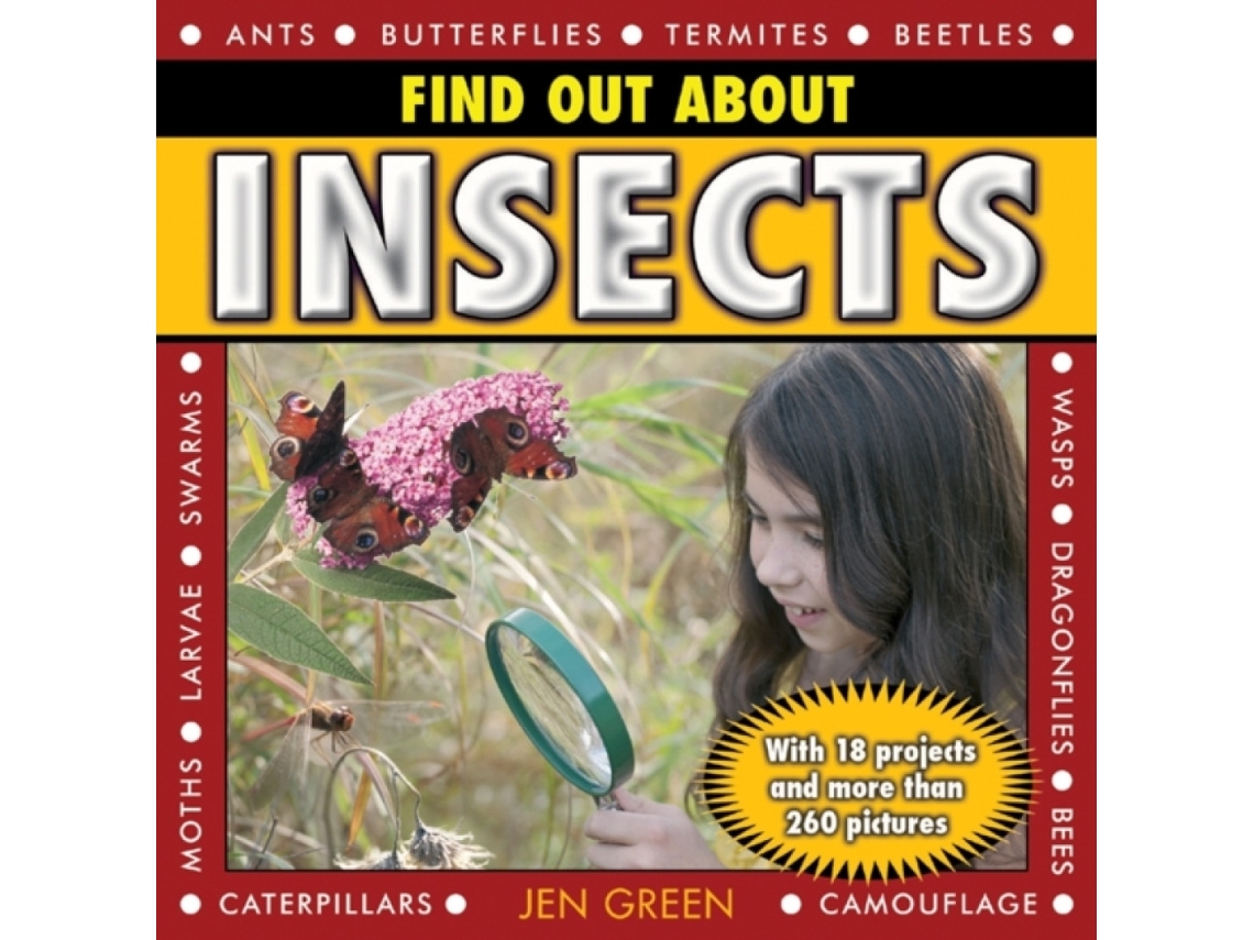 Livro Find Out About Insects de Dr Jen Green (Inglês)