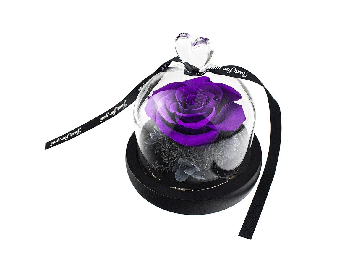 Pequena Rosa em Sino Púrpura