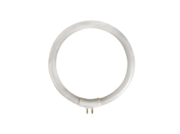 Tubo fluorescente circular T4 12W 6500K 720lm branco frio para VTLAMP10 | S/MARCA