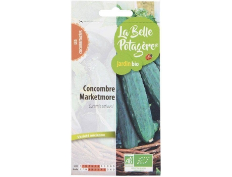 Pepino Marketmore LA BELLE POTAGIRE 0,5 G