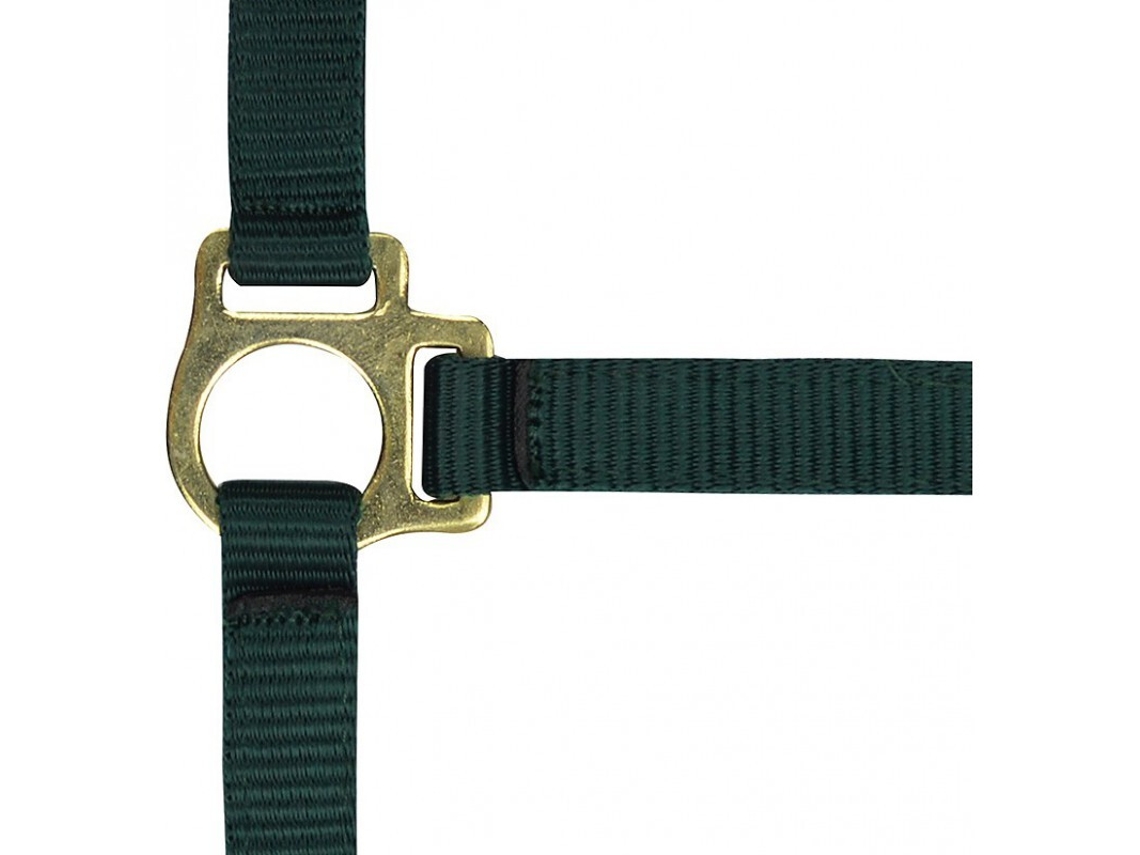 Cabresto para potro e corda de chumbo Norton