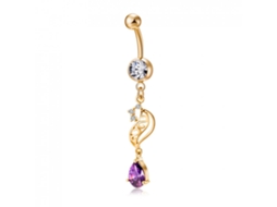 Anel De Piercing Gota Zircão Roxo Aço Inoxidável Bijuterias Corporal