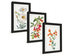 Composição De Quadros Na Paredecomposições Florais Retrô Moldura Preta Quadros Para A Sala De Estar Espelharte (3 Peças 20x30 Cm)