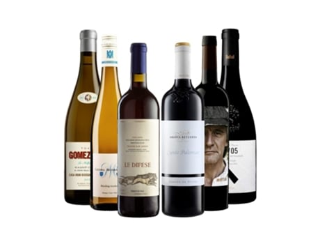 Pack 6 Vinos Bacchus Campoluz Enoteca