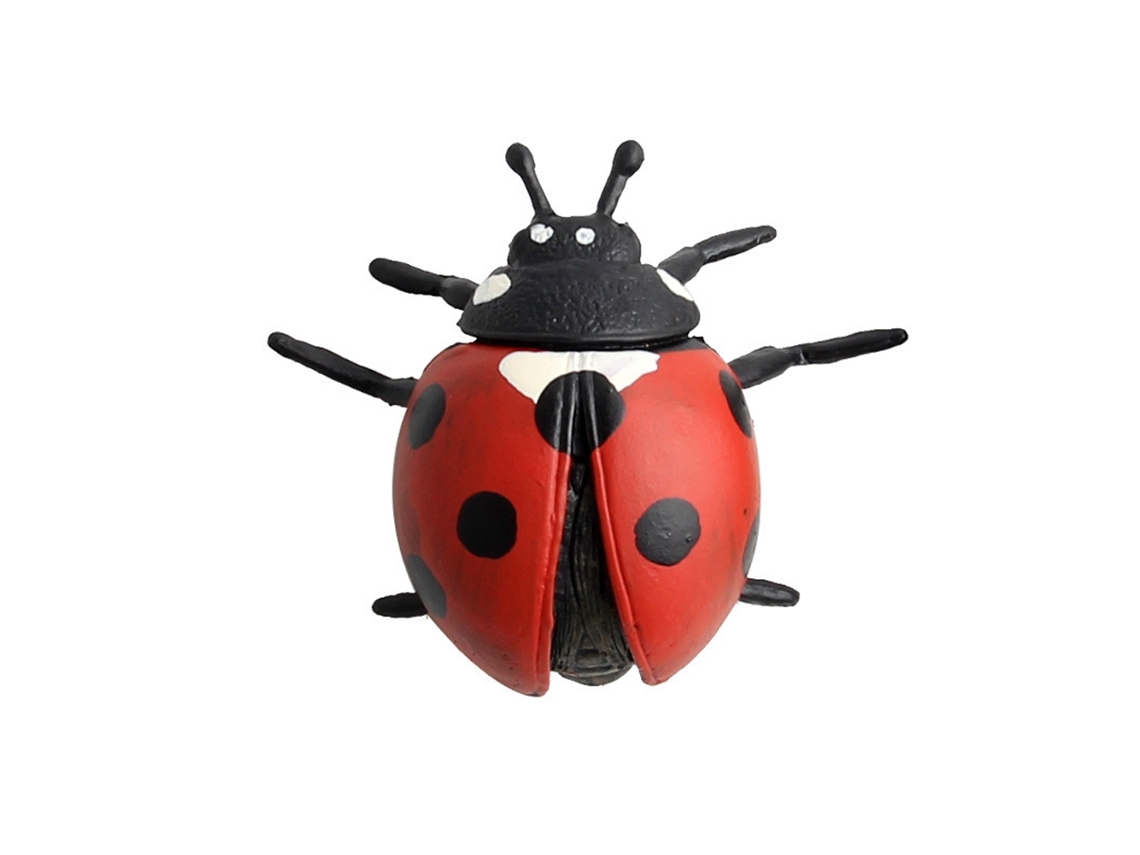 Figura De Insetos Simulados De Plástico Para Crianças Brinquedo Educativo Modelo Animal (5)